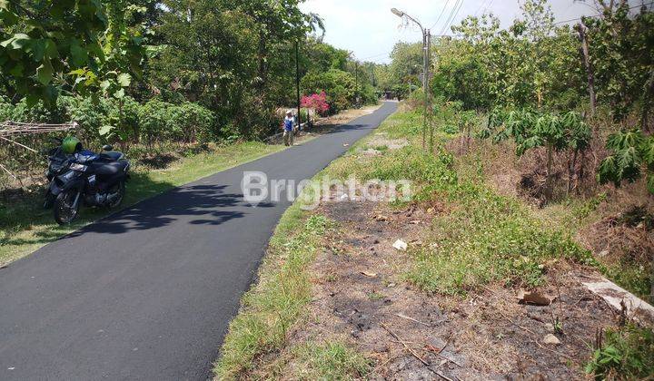 TANAH SIAP BANGUN PERUMAHAN DAN GUDANG 2