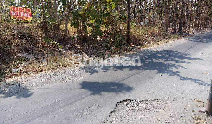 TANAH MURAH SIAP BANGUN NGEMPLAK 2