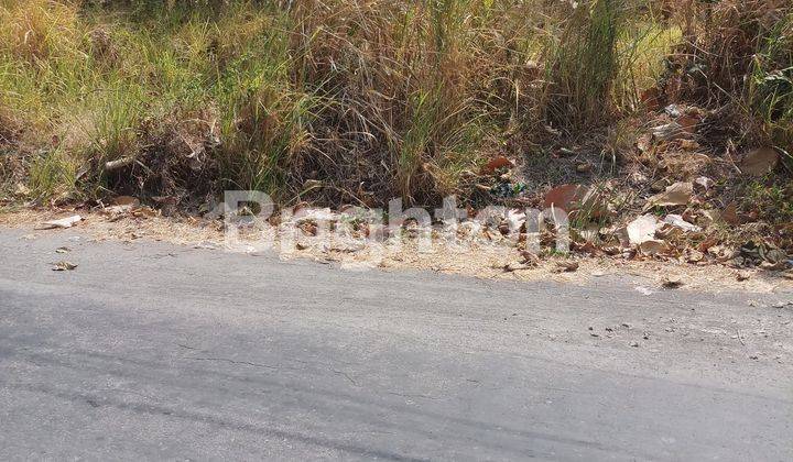 TANAH MURAH SIAP BANGUN NGEMPLAK 1