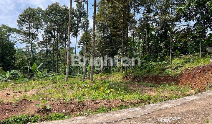 TANAH KEBON DURIAN DI KARANGANYAR 1