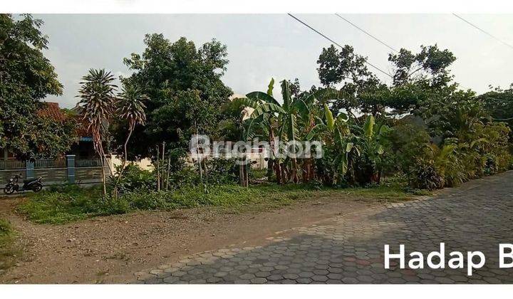 TANAH SIAP BANGUN COLOMADU 1