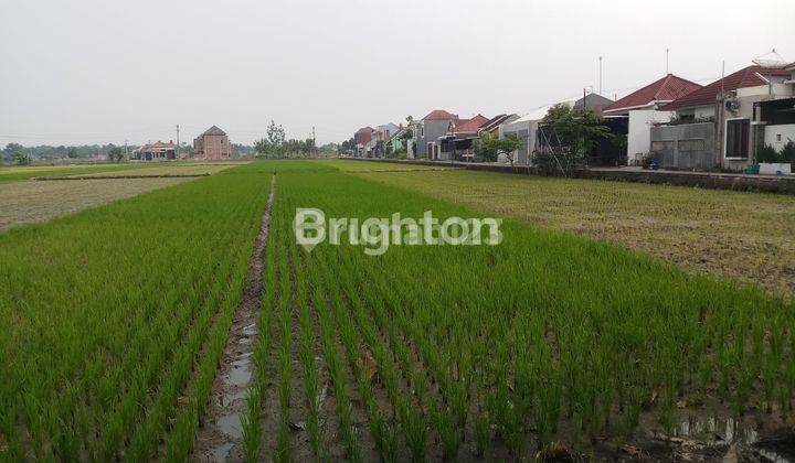 TANAH MURAH SOLO BARU 1