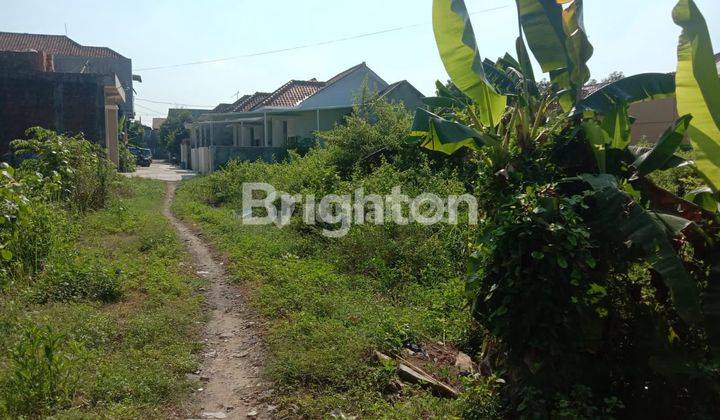 TANAH MURAH DEKAT BANDARA SIAP BANGUN 2