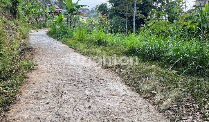 TANAH ADA SUMBER MATA AIR KEMUNING 2