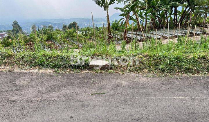 TANAH KEMUNING UDARA DINGIN 1