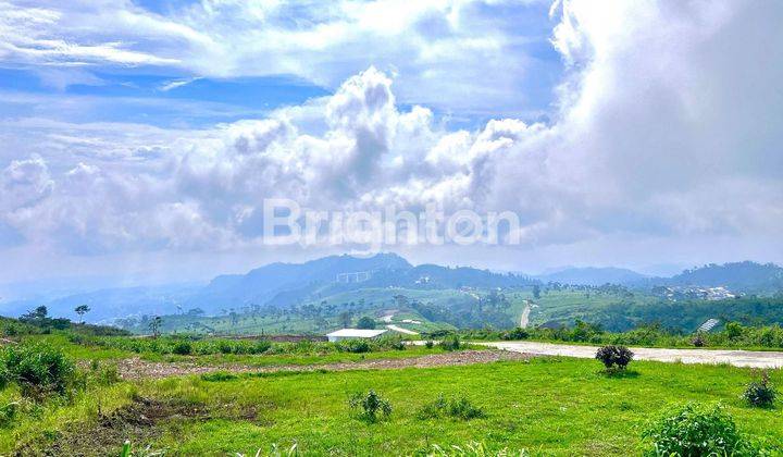 TANAH SIAP BANGUN VILLA VIEW JEMBATAN KACA DAN KEBUN TEH 1