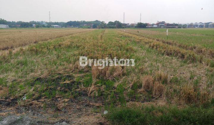 TANAH KERING GROGOL SOLO BARU 2