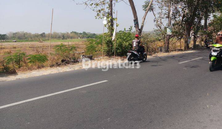 TANAH MURAH !!! SIMO BOYOLALI 1