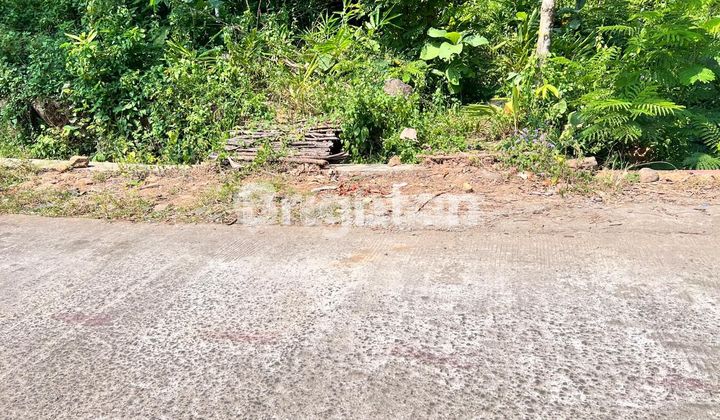 Tanah Luas Muurah Jual Cepat