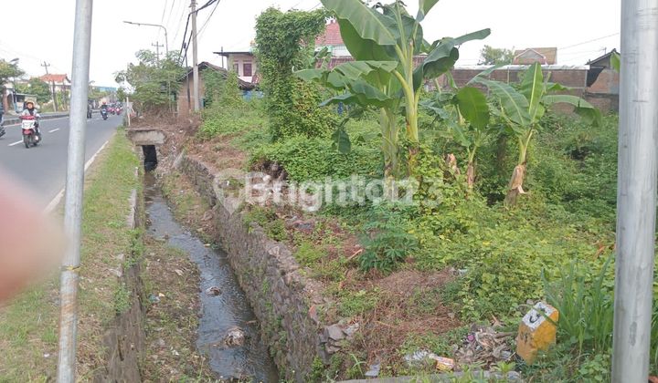 Ready-to-build land in Grogol.