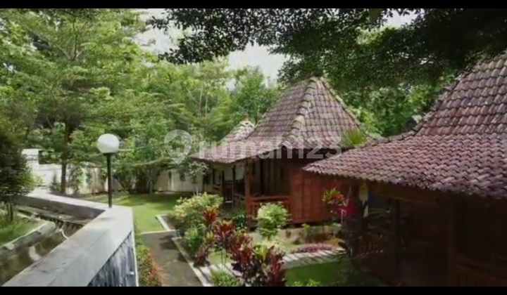 Classic Luxury Homestay with a Natural Atmosphere, Refreshing and Pleasant Classic Luxury Homestay with a Natural Atmosphere, Refreshing and Pleasant
