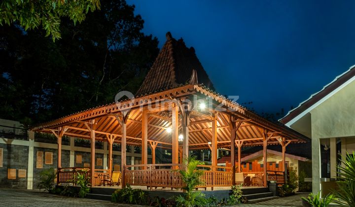 Homestay Sejuk Rindang Gunung Kidul Jogjakarta 2