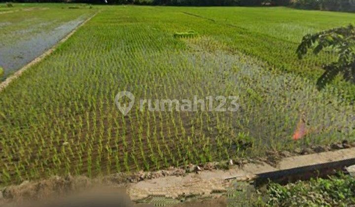 Tanah Murah Jaten Karanganyar Tanah Murah Jaten Karanganyar