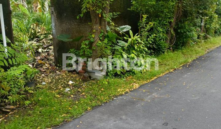 TANAH DEPAN KAMPUS UMS KARANGASEM TANAH DEPAN KAMPUS UMS KARANGASEM