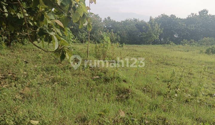 Tanah Zona Kuning Siap Bangun