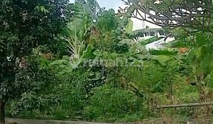 Tanah Siap Bangun Barat Hotel Lor In Solo