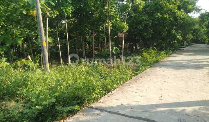 Rumah Siap Bangun Samping Rumah Sakit Banyubening Rumah Siap Bangun Samping Rumah Sakit Banyubening