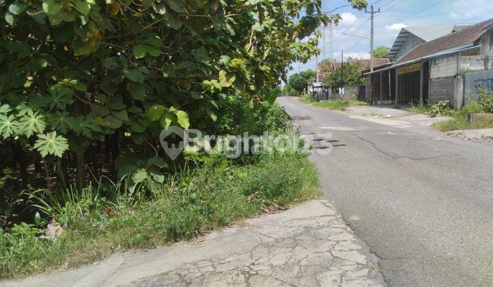 CHEAP RESIDENTIAL LAND NEAR NOGOSARI SUB-DISTRICT