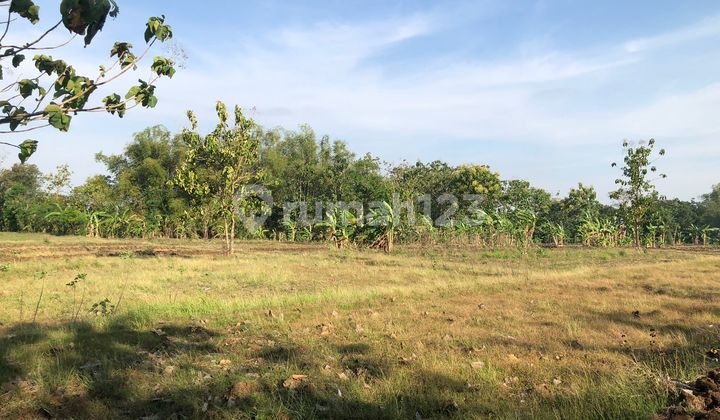 Tanah Datar Sambi Boyolali