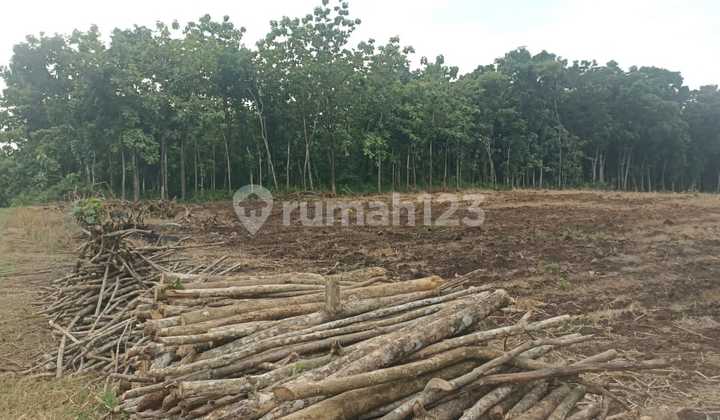 Tanah Zona Merah Industri Sukoharjo Tanah Zona Merah Industri Sukoharjo
