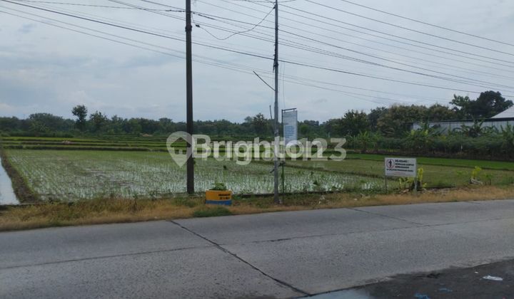DRY LAND NEAR THE AIRPORT