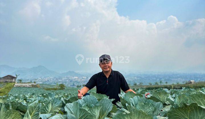 Tanah Puncak Bogor Real di Puncak Dekat Kebun Bunga Viral 2