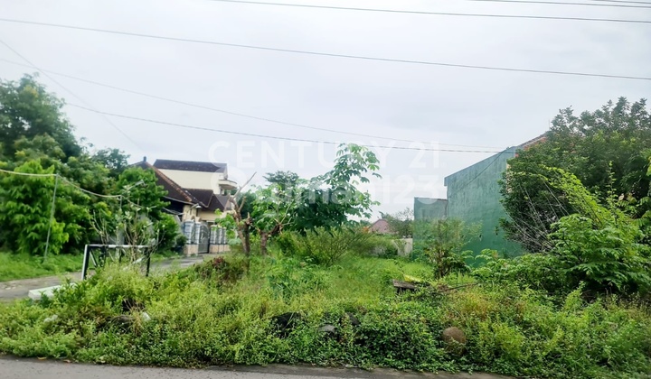 Tanah Hoek Di Klegen Malangjiwan Karanganyar