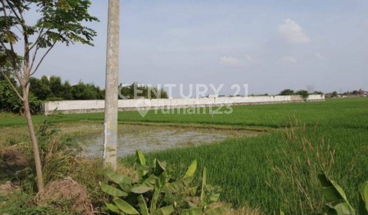 Tanah Lahan Komersial Di Karawang Barat  2