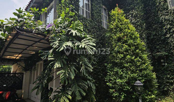 Rumah Tropical Scandinavian Besar Strategis Di Lippo Karawaci 2