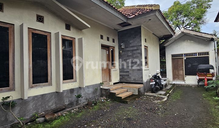 Jual Cepat Rumah Yogyakarta Harga di Bawah Pasaran Hitung Tanah Lokasi Strategis di Jalan Utama