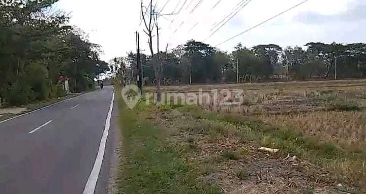 Industrial Zone Land Location Klaten Area 19 Hectares Industrial Zone Land Location Klaten Area 19 Hectares