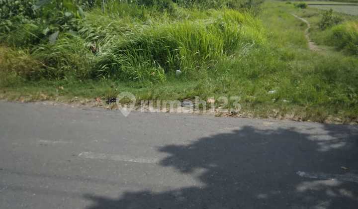 Tanah Zona Kuning Lokasi Colomadu, Karanganyar Luas 3500m2 Tanah Zona Kuning Lokasi Colomadu, Karanganyar Luas 3500m2