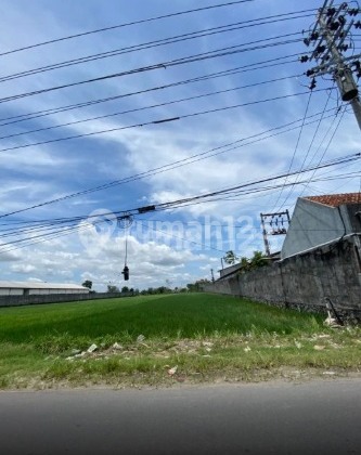 Lahan Zona Industri Lokasi Jaten, Karanganyar Luas1,4 Ha