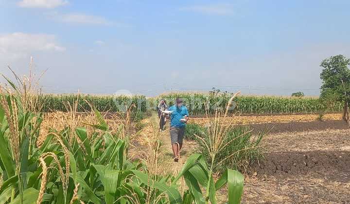 Industrial Zone Land Super Strategic Location Sumberlawang, Sragen Area 42 Ha Industrial Zone Land Super Strategic Location Sumberlawang, Sragen Area 42 Ha