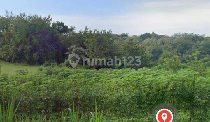 Lahan Zona Kuning Lokasi Wonogiri Luas 2,1 Ha