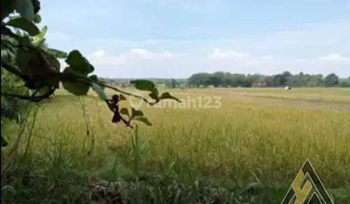 Dijual Tanah Siap Bangun Zona Industri 15 Ha Berlimbah Sragen 2