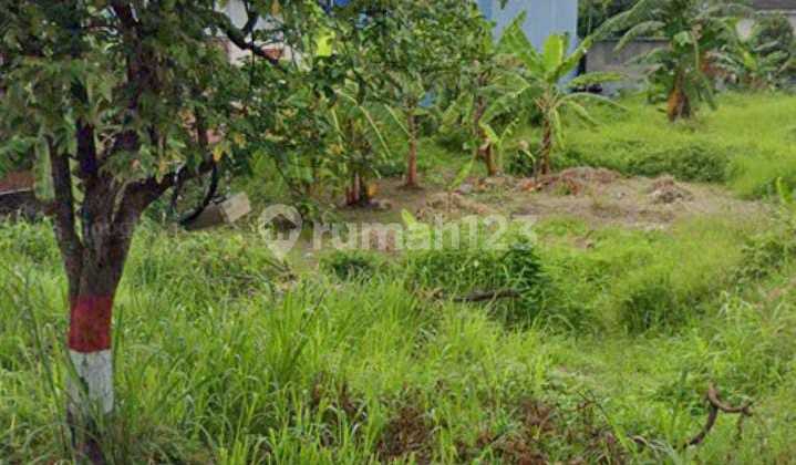 Tanah Pinggir Jalan Kartasura,Sukoharjo Luas 474M2