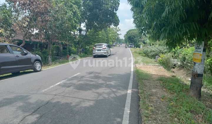 Lahan Zona Industri Lokasi Tangen,Sragen Luas 41 Ha
