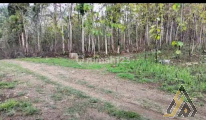 Dijual Lahan Zona Industri,lokasi Bendosari Sukoharjo,4,5 Hektar,bu 2