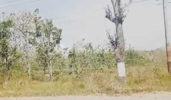 Strategic Industrial Zone Land in Sumberlawang, Sragen, Area 3 Ha Strategic Industrial Zone Land in Sumberlawang, Sragen, Area 3 Ha