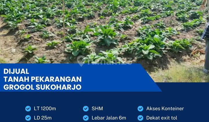 Dijual Tanah Pekarangan Zona Industri 1200m2 Berlimbah Grogol,sukoharjo  1