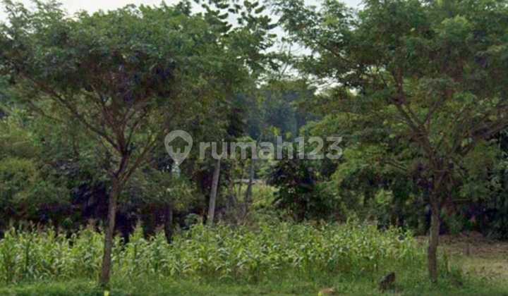 Industrial Zone Land Location Mojosongo Boyolali Area 5 Hectares Industrial Zone Land Location Mojosongo Boyolali Area 5 Hectares