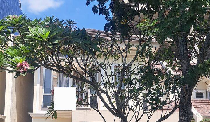 Disewakan Rumah Furnish Strategis Murah di Cluster Frangipani De Park Bsd 1