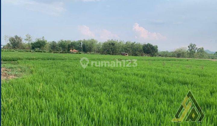 Dijual Lahan Zona Industri,lokasi Kartasura, Sukoharjo,luas 40 Ha,bu  2