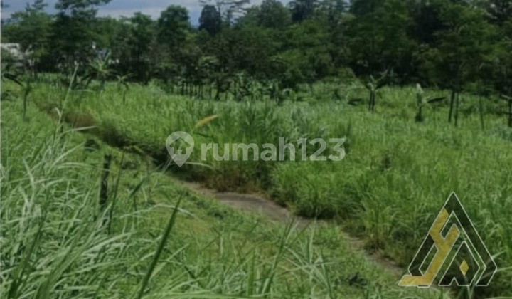 Lahan Kawasan Industri,Lokasi Tengaran,Semarang,Luas 10 Ha Bu! 2