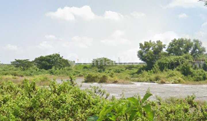 Yellow Zone Yard Land Location Sidoharjo, Sragen Area 5250M2