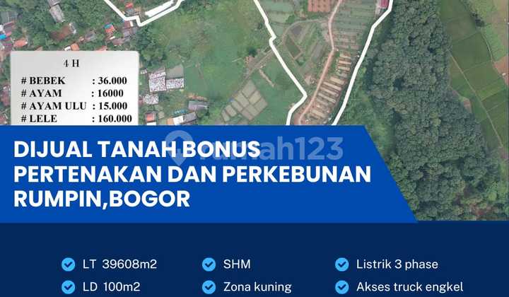 Lahan Bonus Pertenakan dan Perkebunan Lokasi Rumpin,Bogor Luas 4 Ha Lahan Bonus Pertenakan dan Perkebunan Lokasi Rumpin,Bogor Luas 4 Ha
