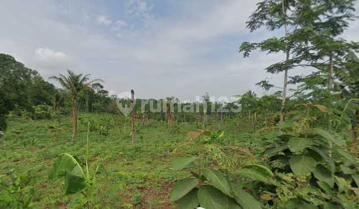 Industrial Zone Land Strategic Location Batang Area 1,193 Ha