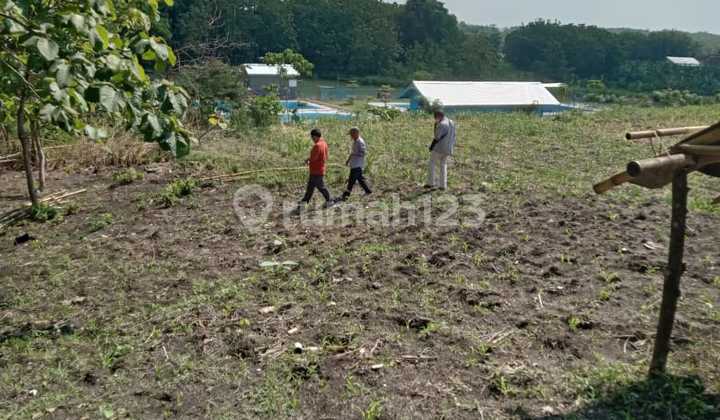 Lahan Zona Merah Industri Lokasi Tangen,Sragen Luas 41 Ha