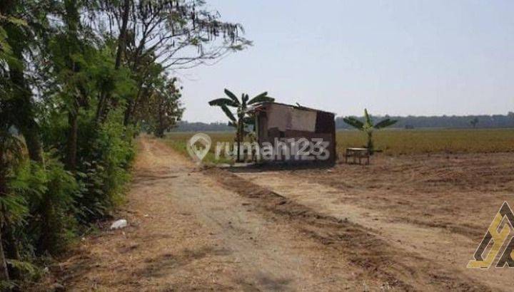 Dijual Lahan Strategis Zona Industri,Lokasi Bulakrejo, Sukoharjo,Luas 3823m2,Bu! 2